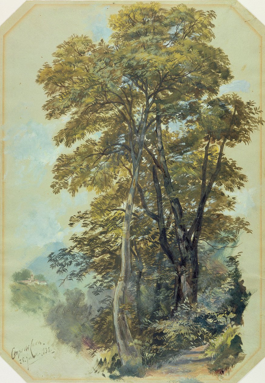 Edward Lear, Corpo di Cava door Edward Lear