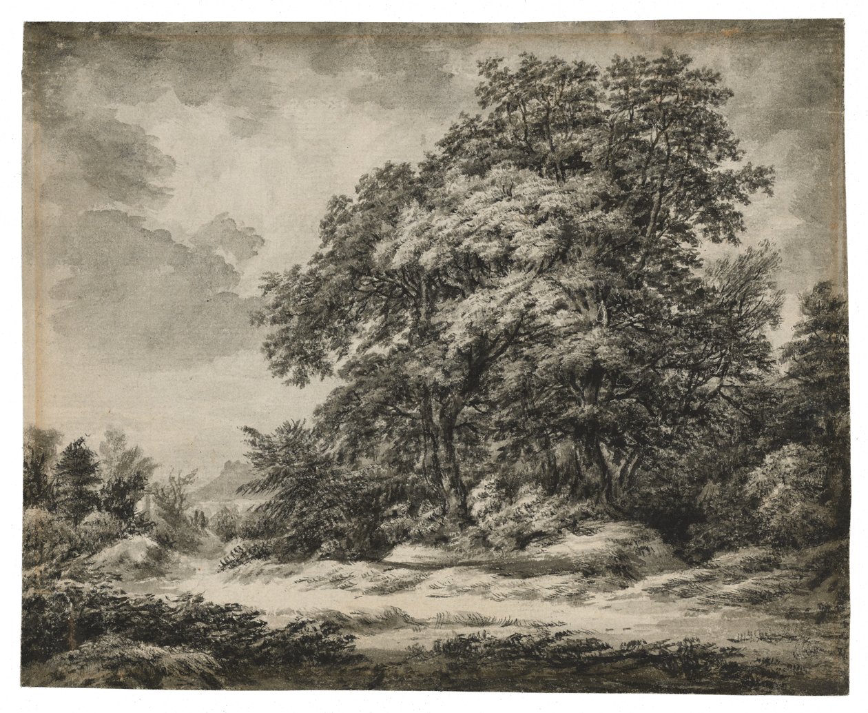 Boslandschap (recto), ca. 1838-1848 door Edward Lear
