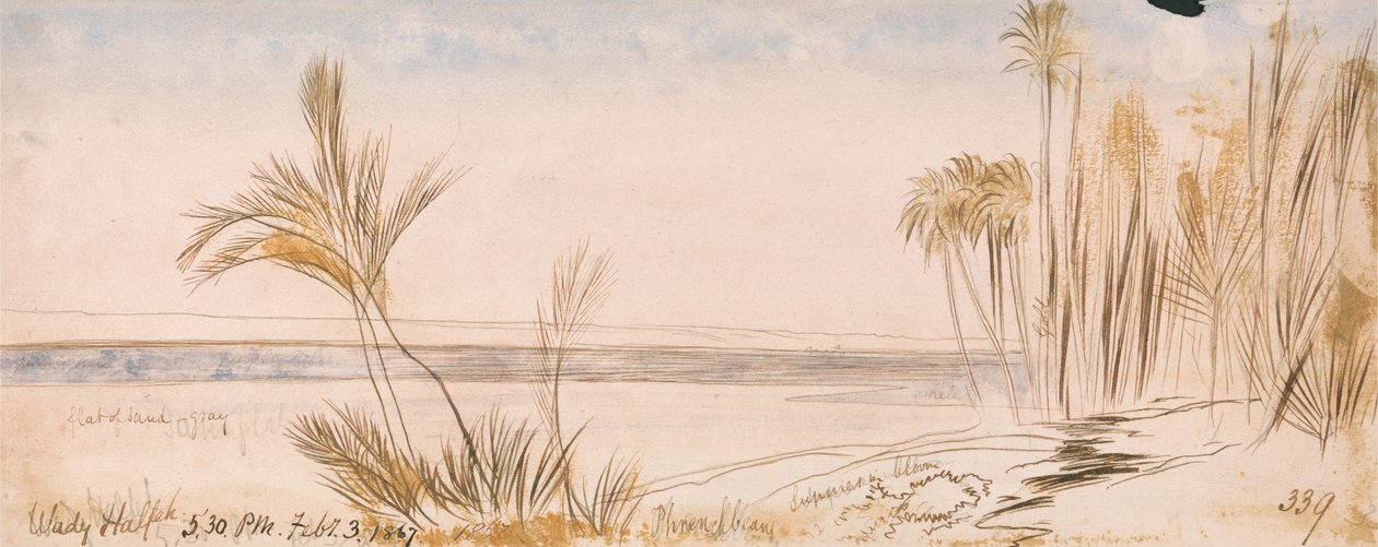 Wady Halfeh door Edward Lear