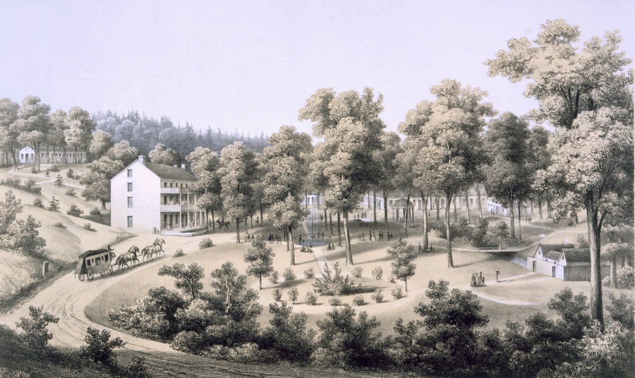 Stribling Springs, Spa Dorp, Augusta County, 1858 door Edward Beyer
