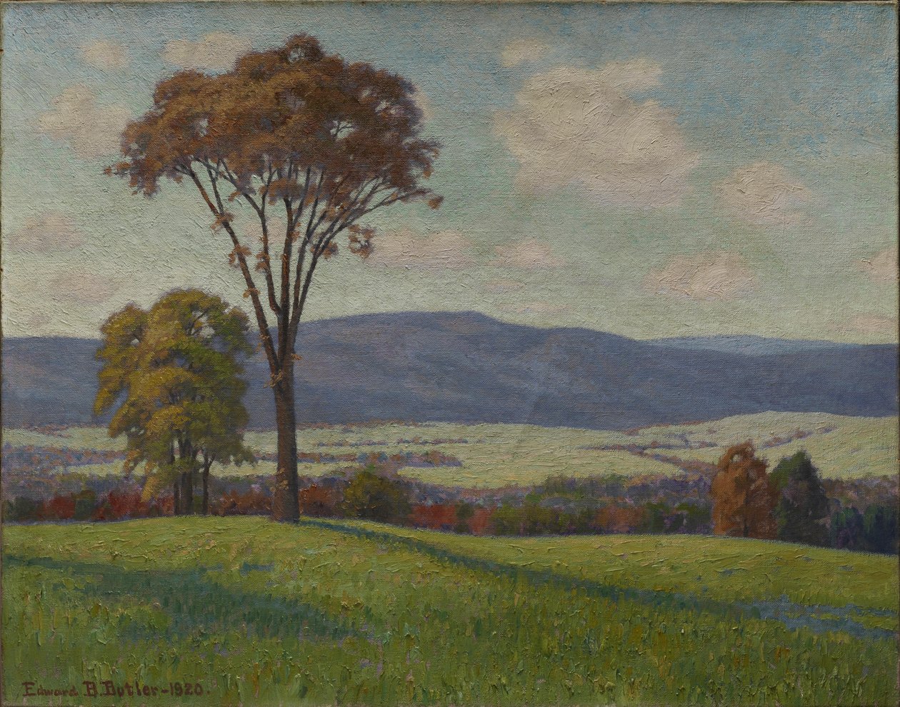 Over heuvel en dal door Edward Burgess Butler