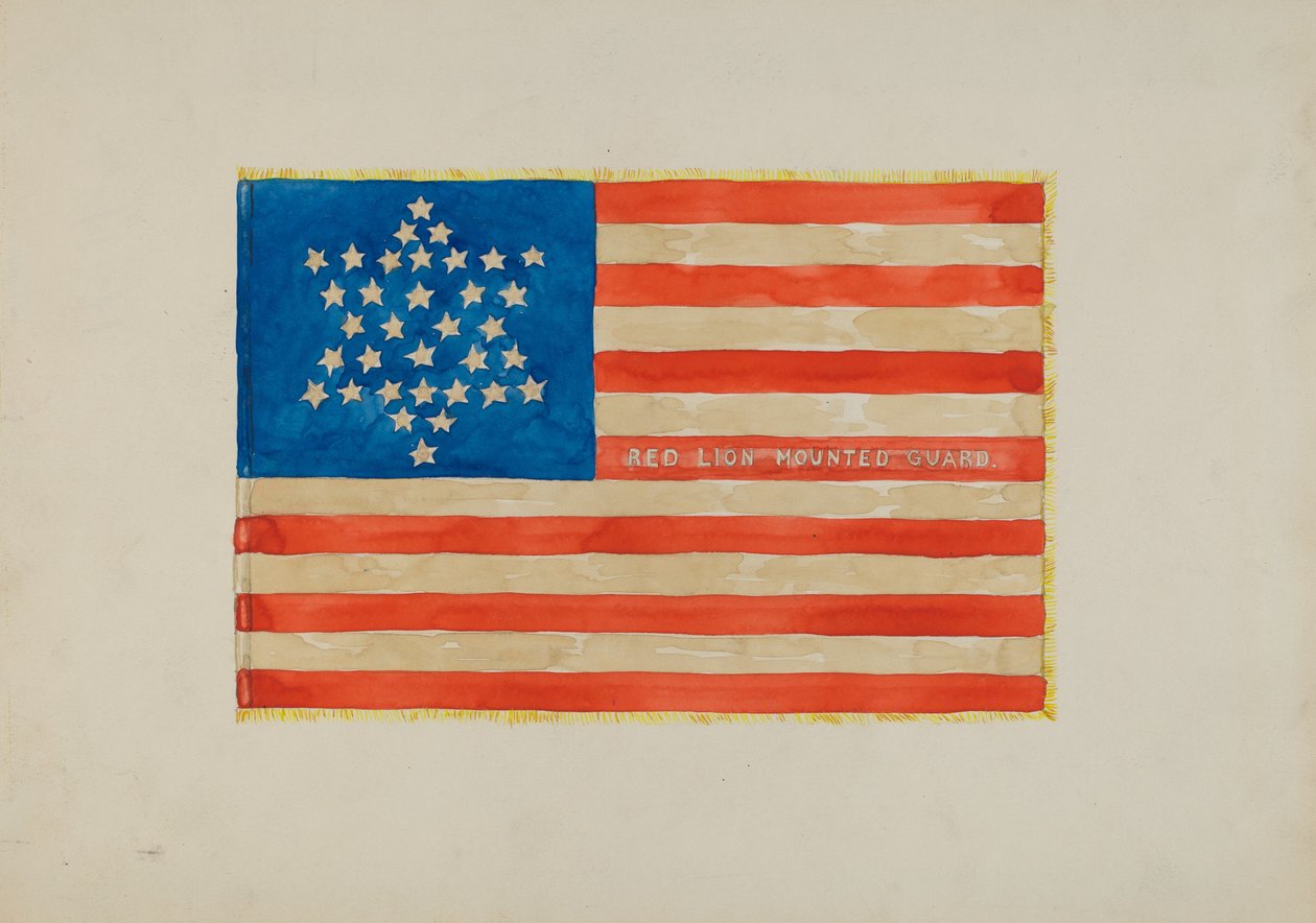 Vlag: Burgeroorlog door Edward Grant