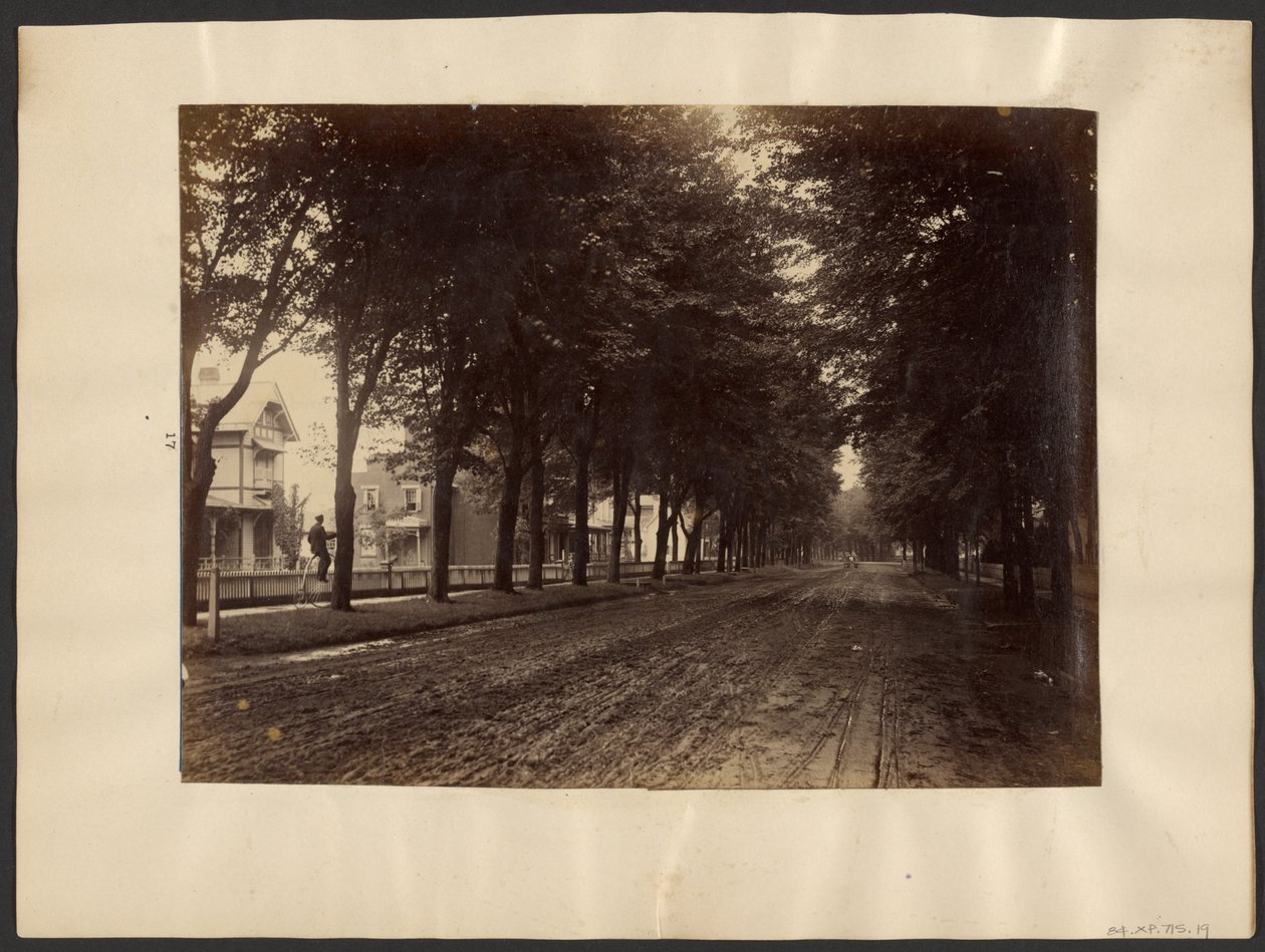 [Met bomen omzoomde straat]. door Edward H. Hart