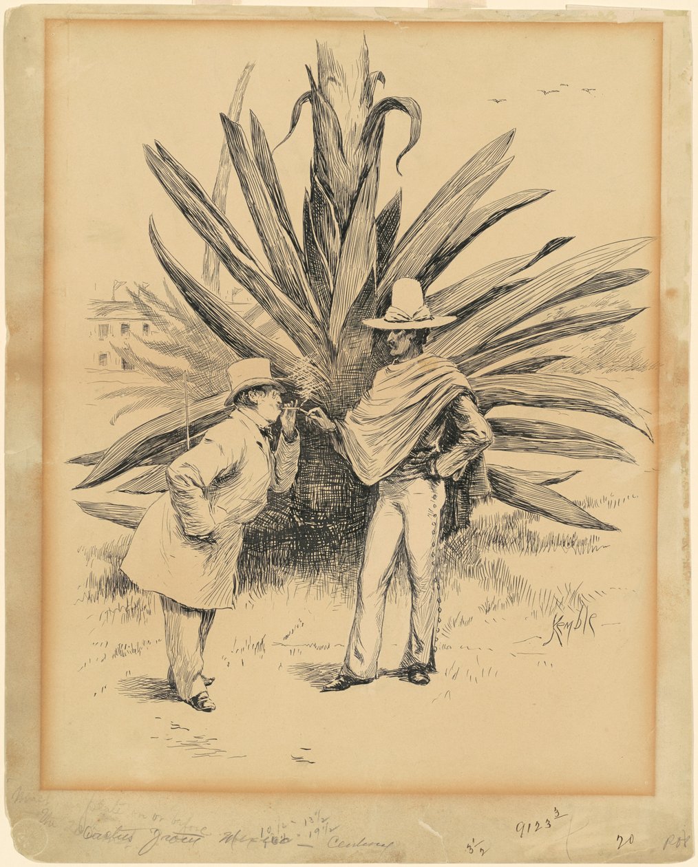 Cactus uit Mexico door Edward Kemble