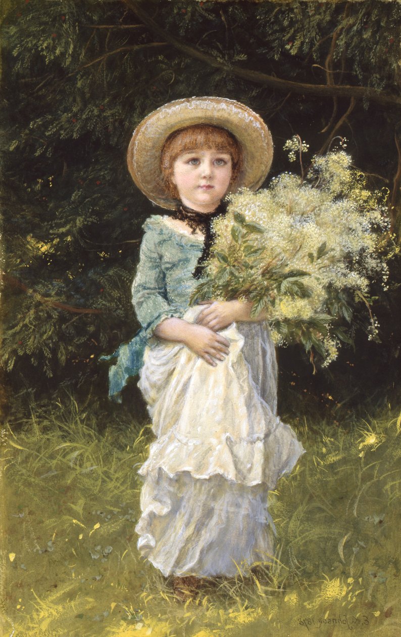 Moerasspirea door Edward Killingworth Johnson