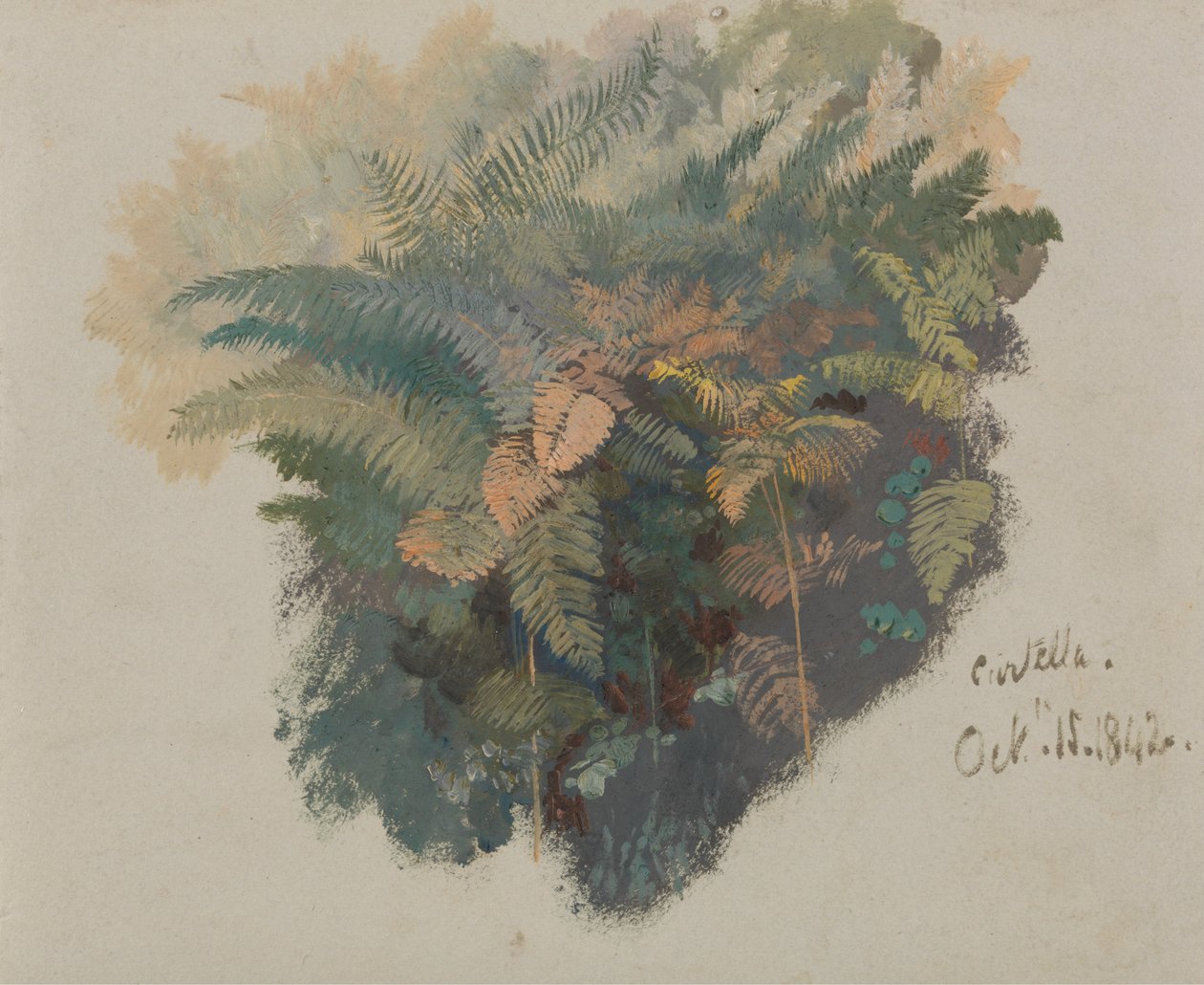 Een onderzoek naar varens, Civitella door Edward Lear