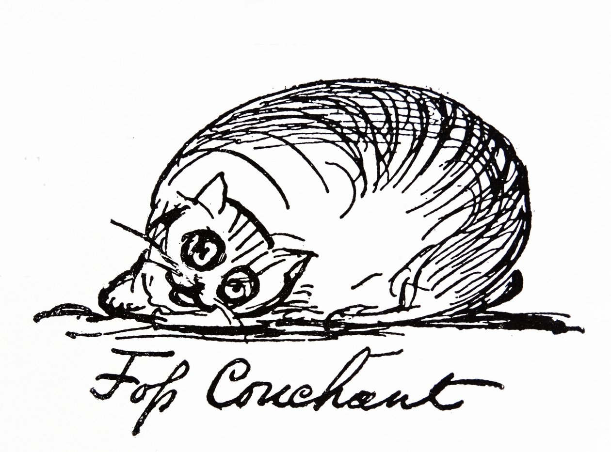 Een kattenkarakter door Edward Lear