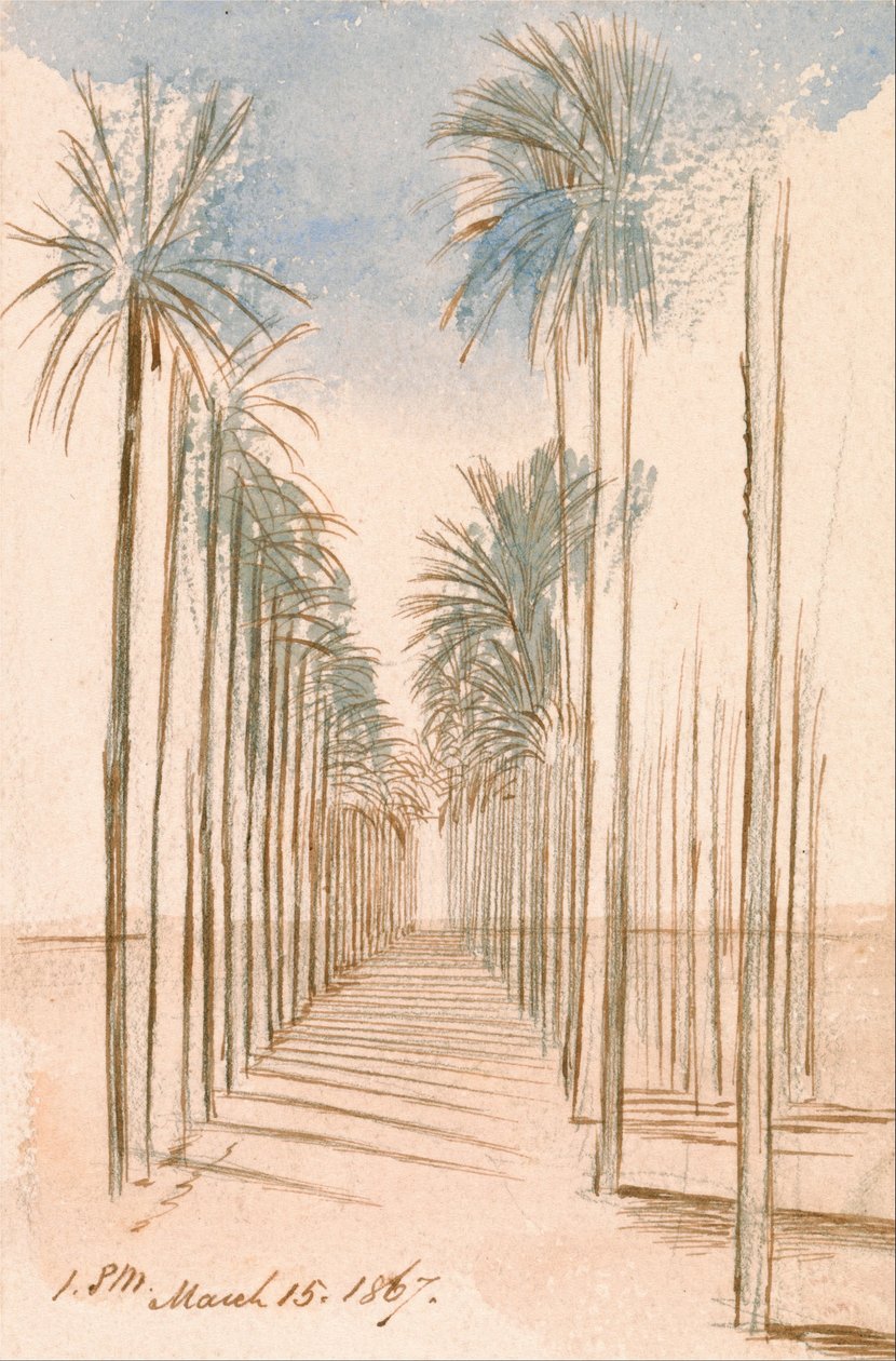 Bomenlaan door Edward Lear