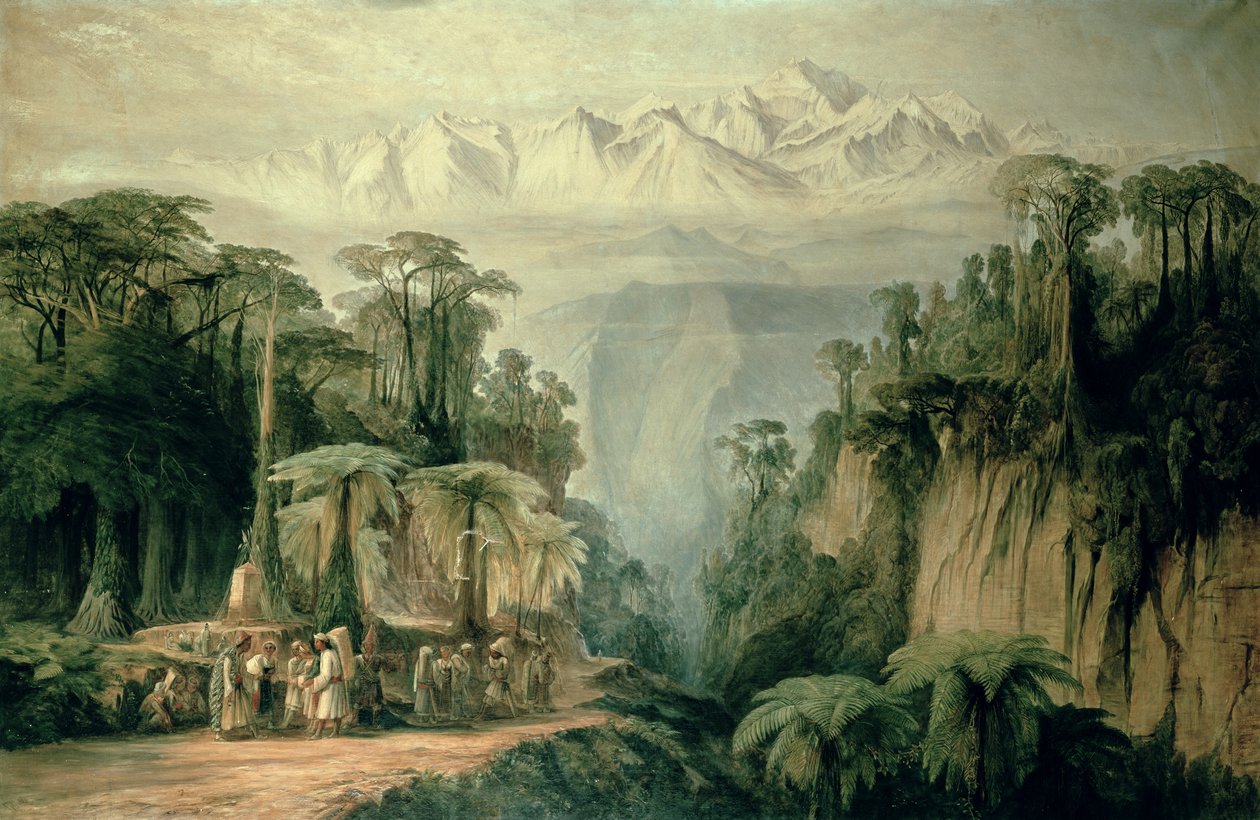 Onbekend Beeld door Edward Lear