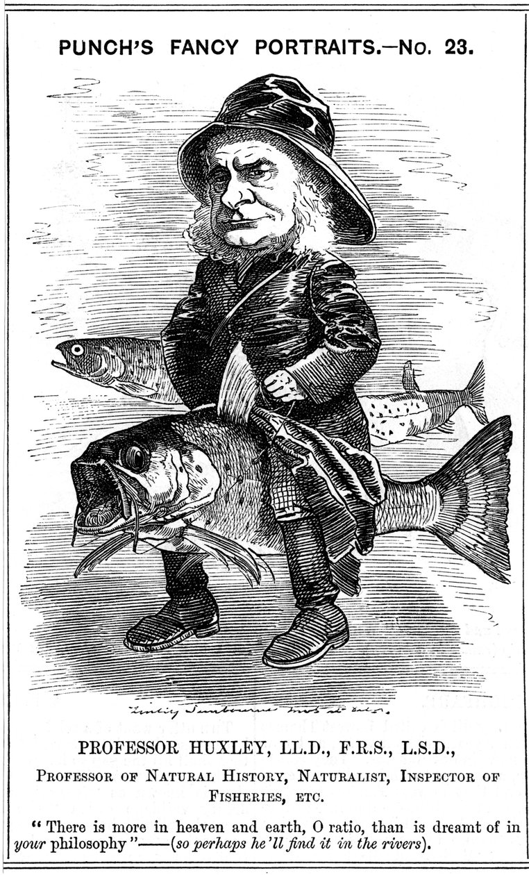 Thomas Henry Huxley, Engelse bioloog, 1881 door Edward Linley Sambourne
