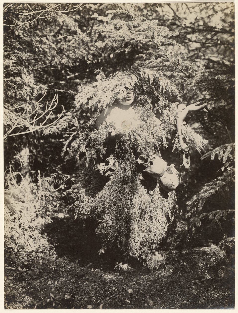 [Ghost Dancer - Kwakiutl] door Edward S. Curtis