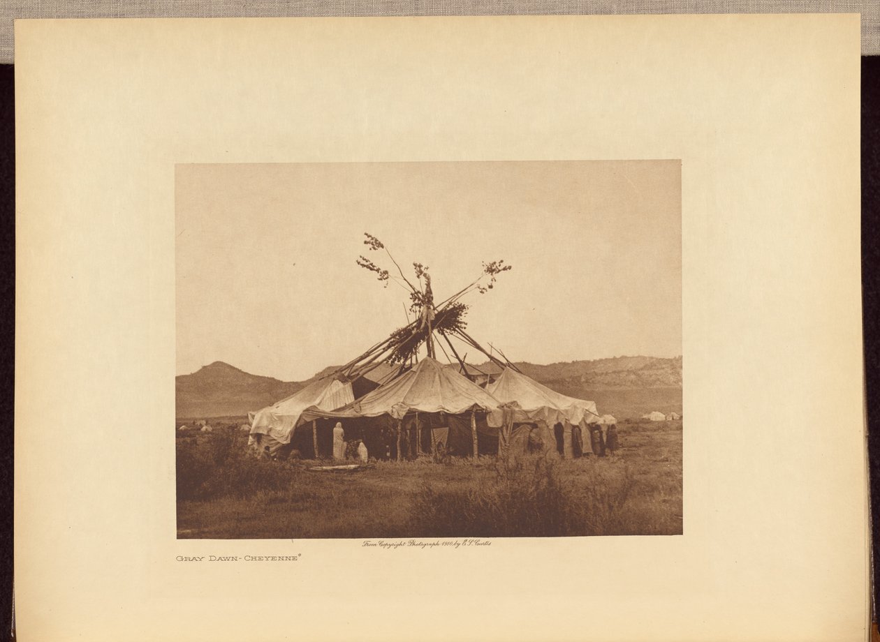 Grauwe Dageraad - Cheyenne door Edward S. Curtis
