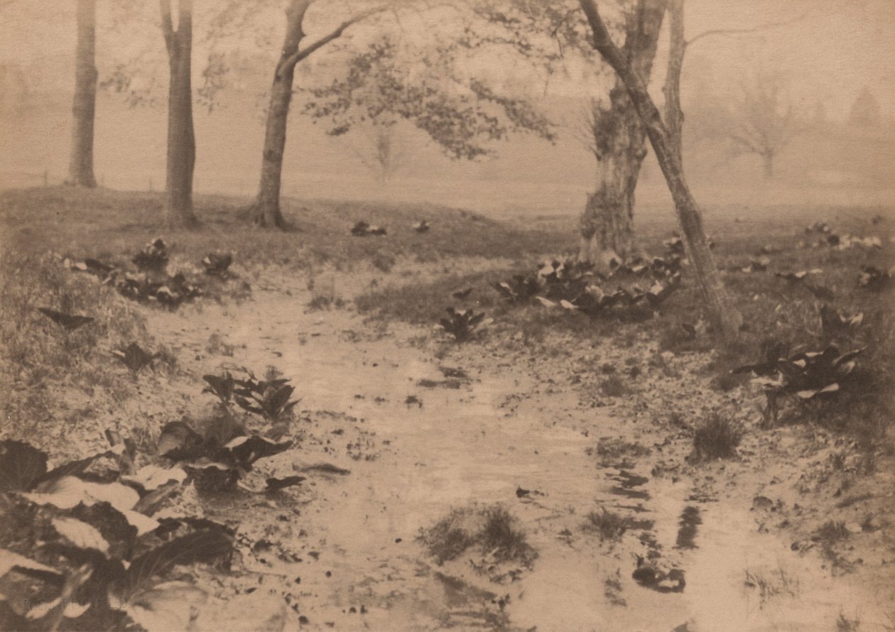 Lentelandschap,jaren 1890 (foto) door Edward Willis Redfield