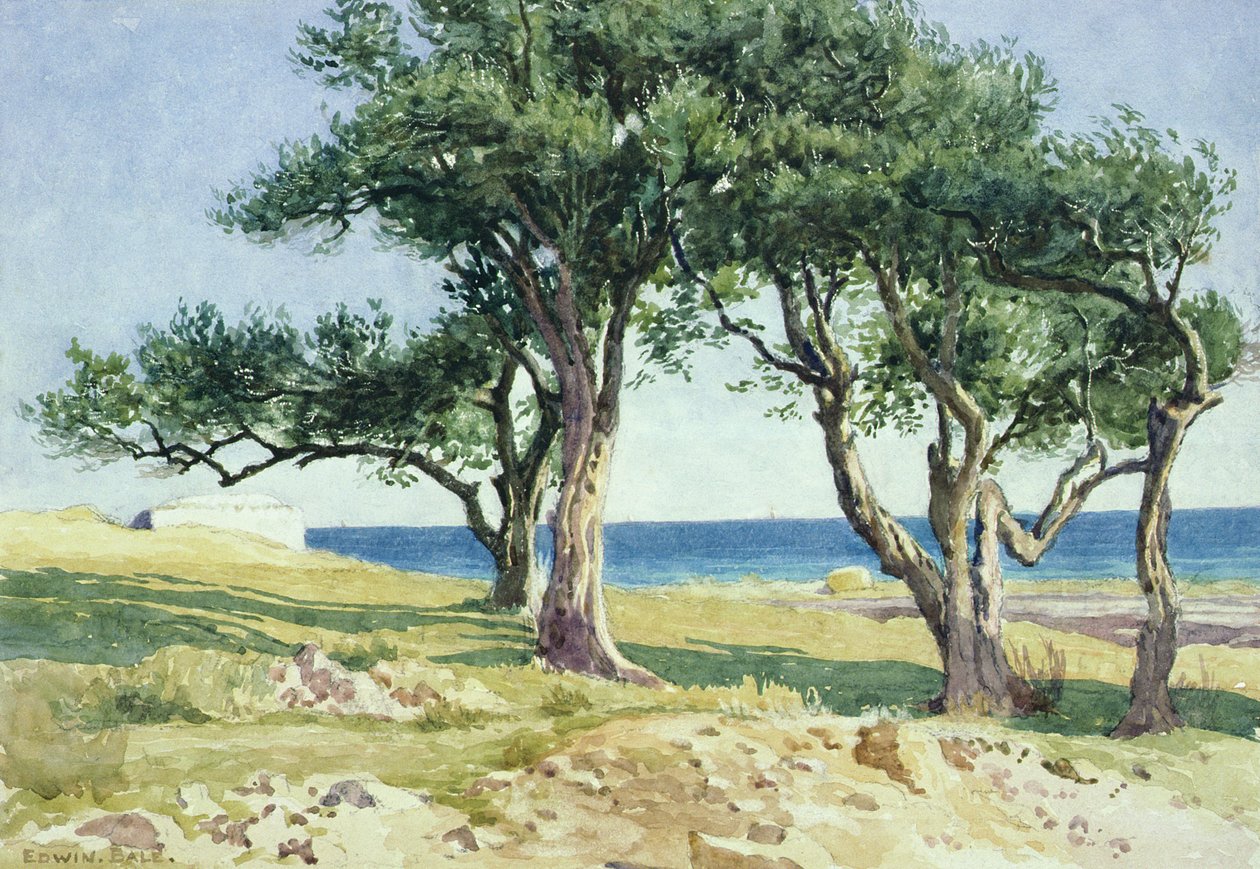 Oude Olijfbomen, Bordighera door Edwin Bale