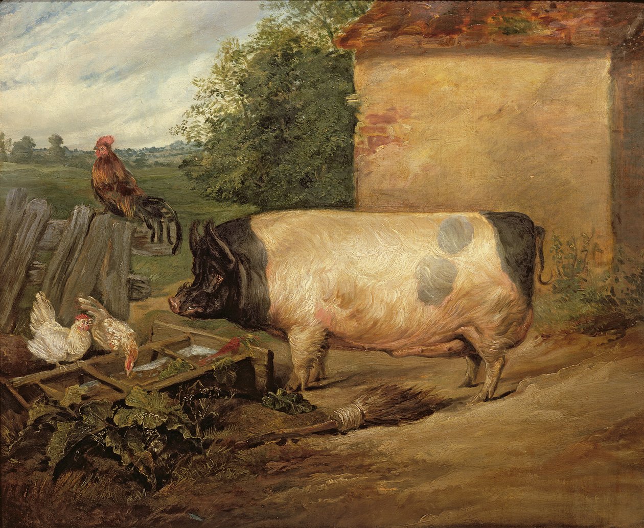 Portret van een prijswinnende varken, eigendom van Squire Weston van Essex, 1810 door Edwin Landseer