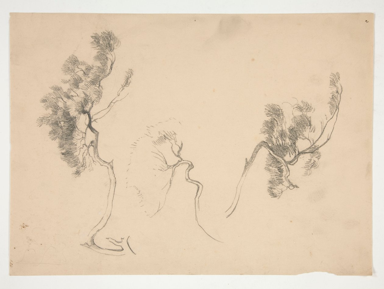 Schetsen van takken door Edwin Austin Abbey
