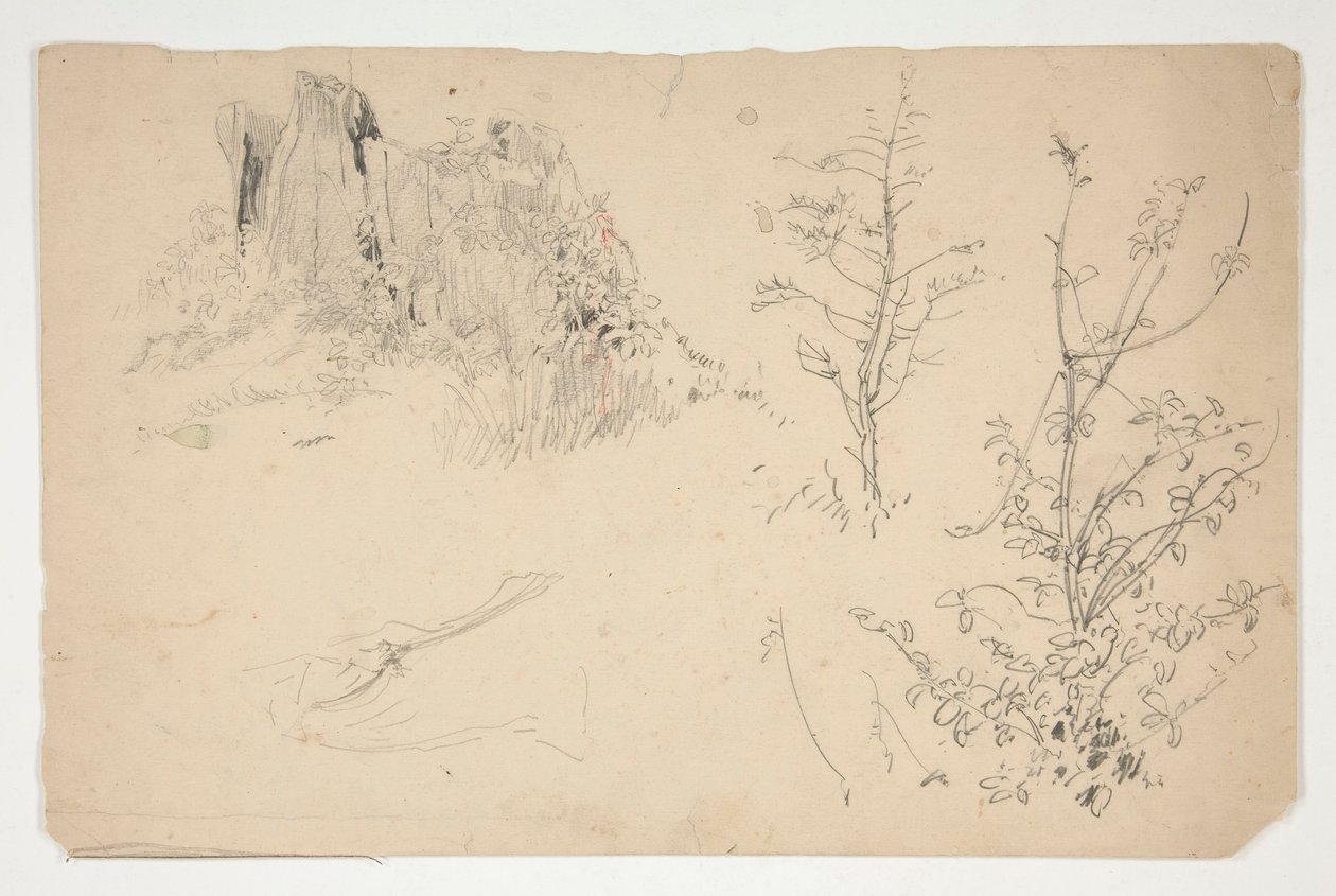 Schetsen van bomen door Edwin Austin Abbey