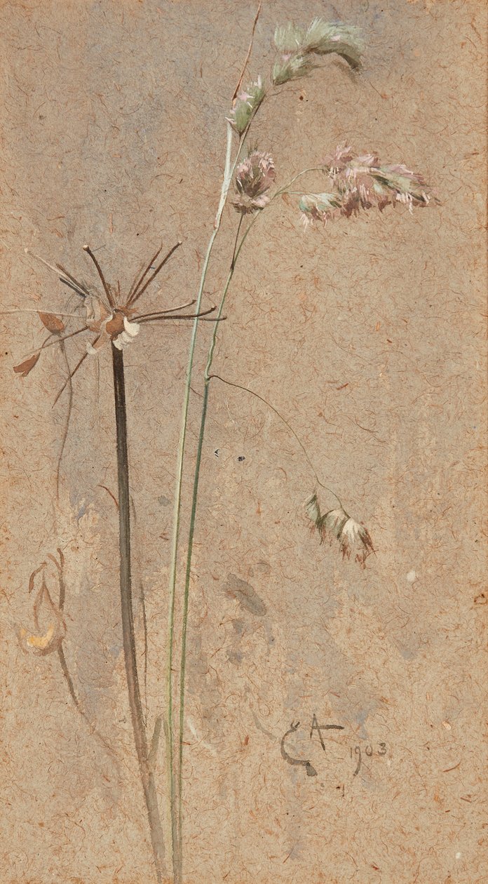 Kropaargras door Edwin John Alexander