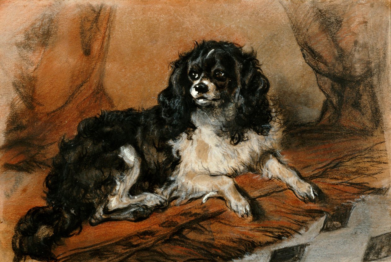 Een King Charles Spaniël door Edwin Landseer