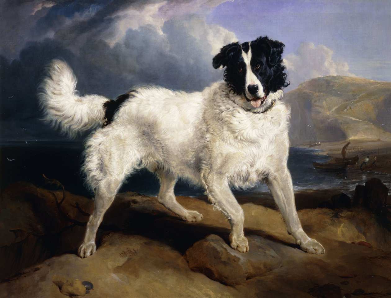 Een portret van Neptunus, 1824 door Edwin Landseer