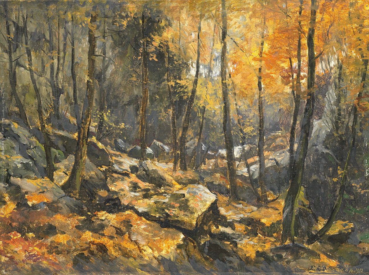 Felsenmeer door Egbert Schaap