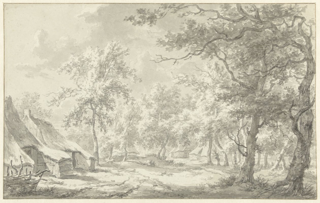 Boerderijen te Eext (Drenthe) door Egbert van Drielst