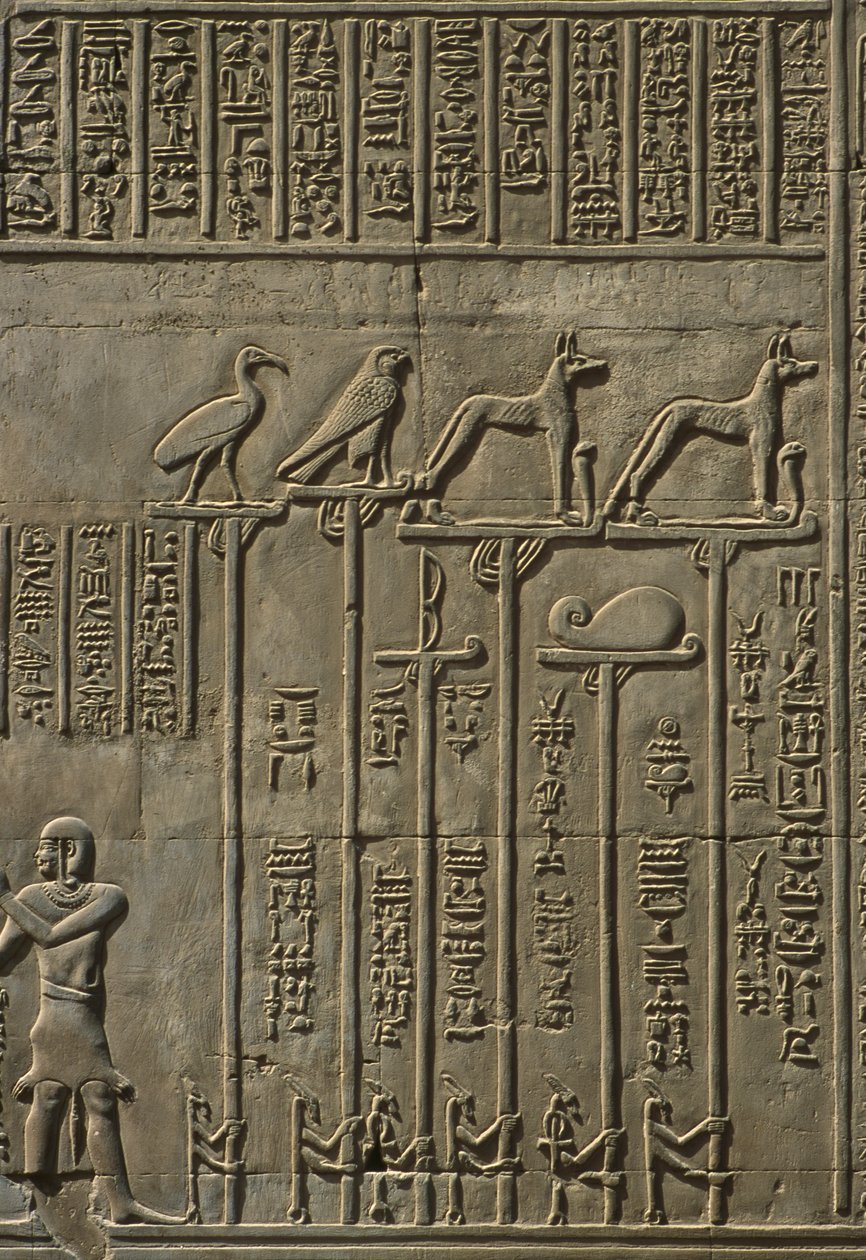 Detail van een reliëf door Egyptian