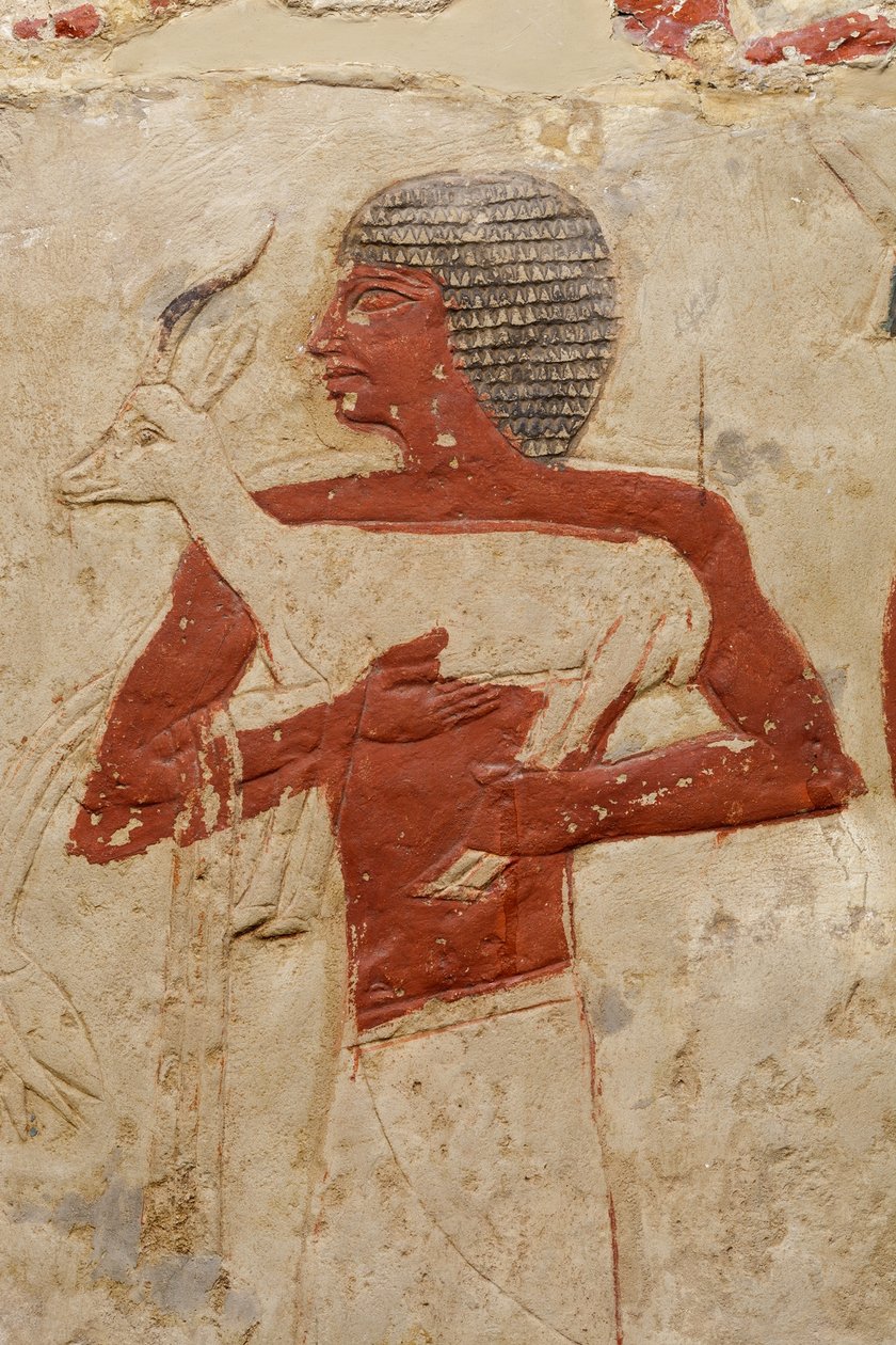 Mastaba graf van Perneb, ca. 2381-2323 v.Chr. door Egyptian 5th Dynasty