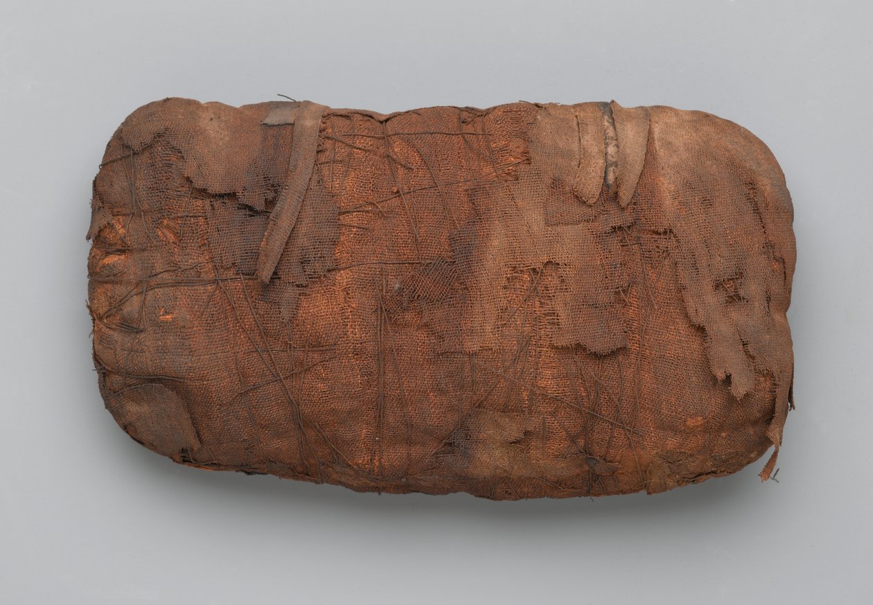 Mummies van slangen door Egyptian