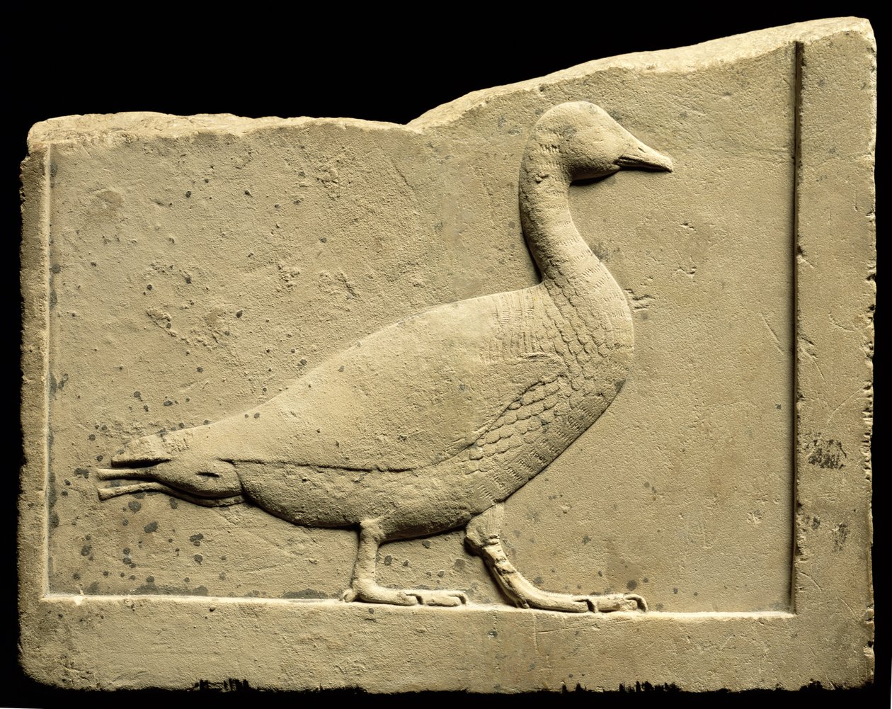 Reliëf met een gans (kalksteen) door Egyptian Ptolemaic Period