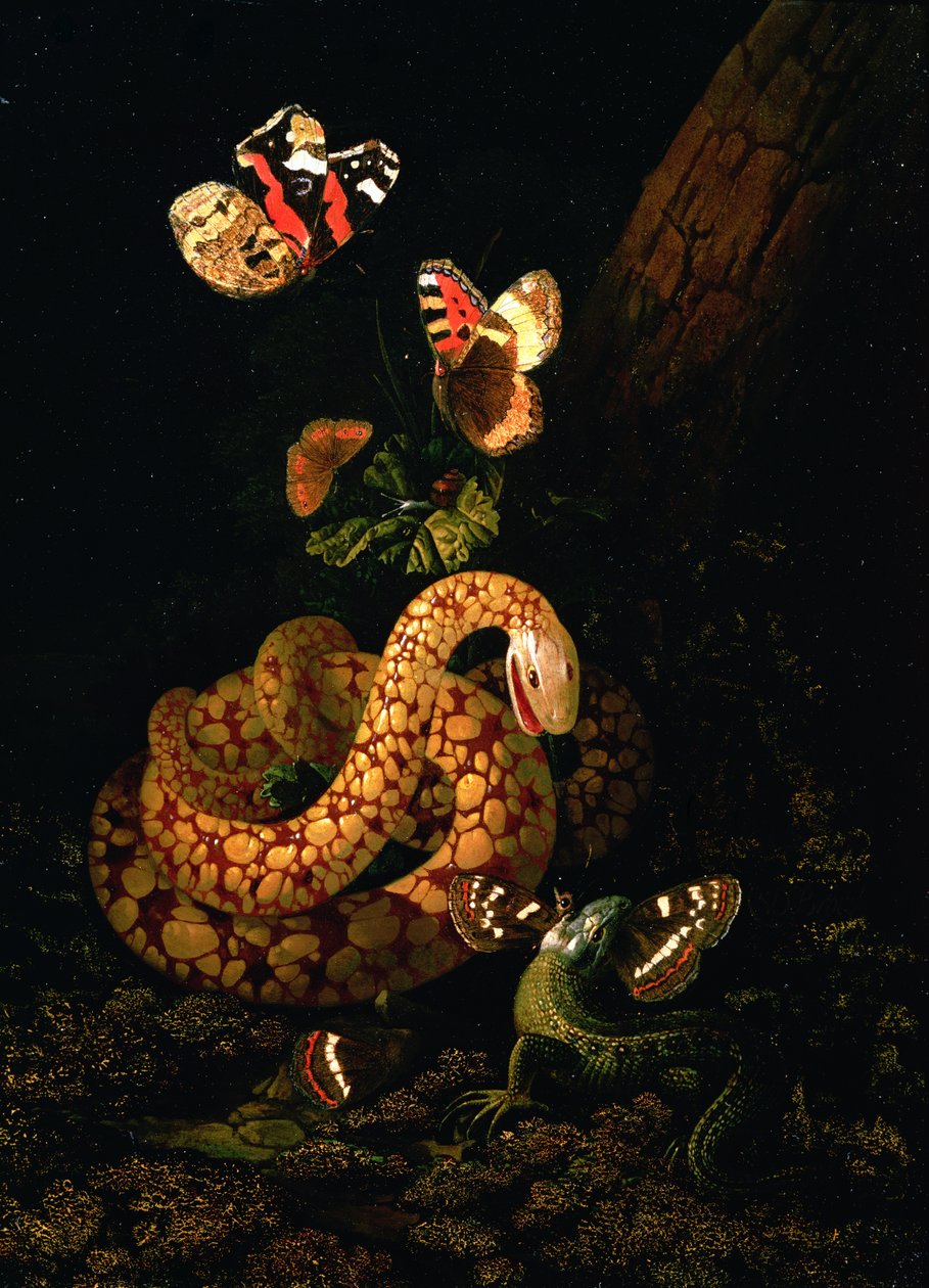 Stilleven met Slang door Elias van den Broeck