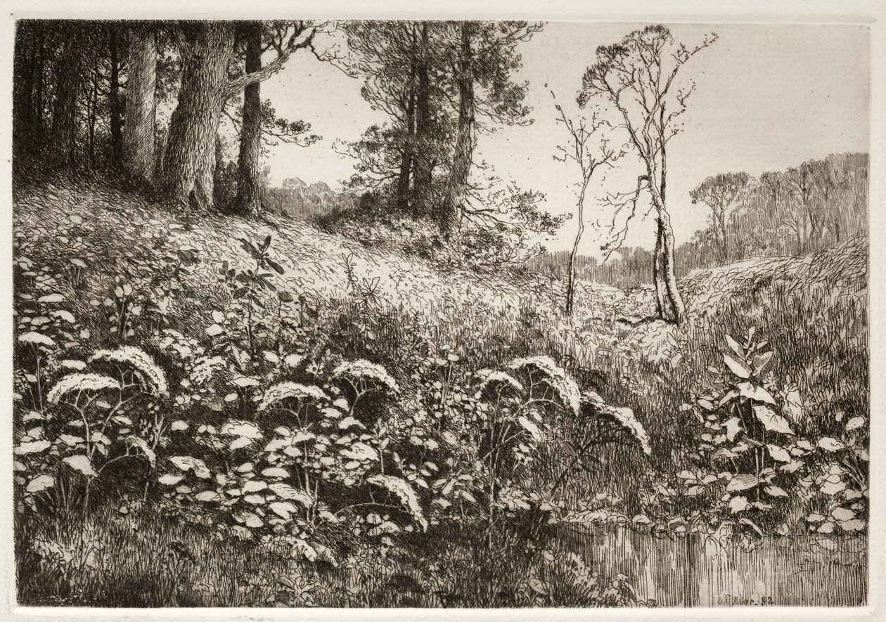 Een Zomermiddag door Elis F. Miller