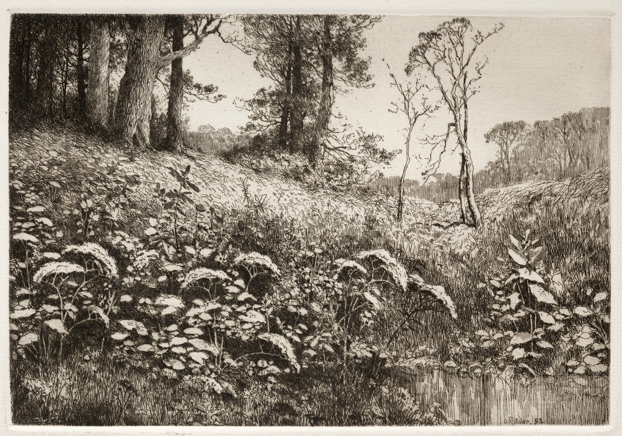 Een Zomermiddag, 1882 door Elis F. Miller