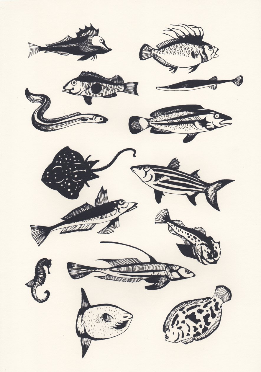 Monotone Vlakke Vis, 2015 door Eliza Southwood