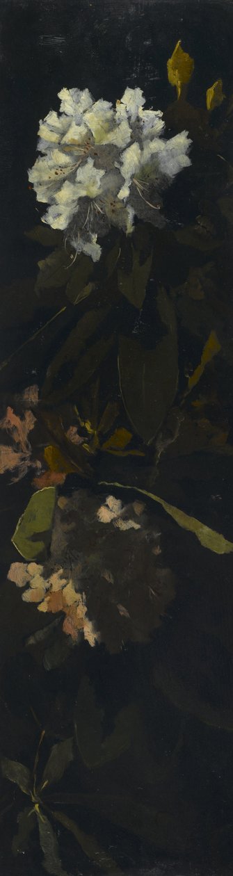 Rhododendrons door Elizabeth Boott Duveneck