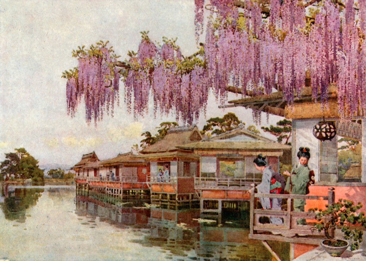 Wistaria, Nagaoka (kleurenlitho) door Ella Du Cane