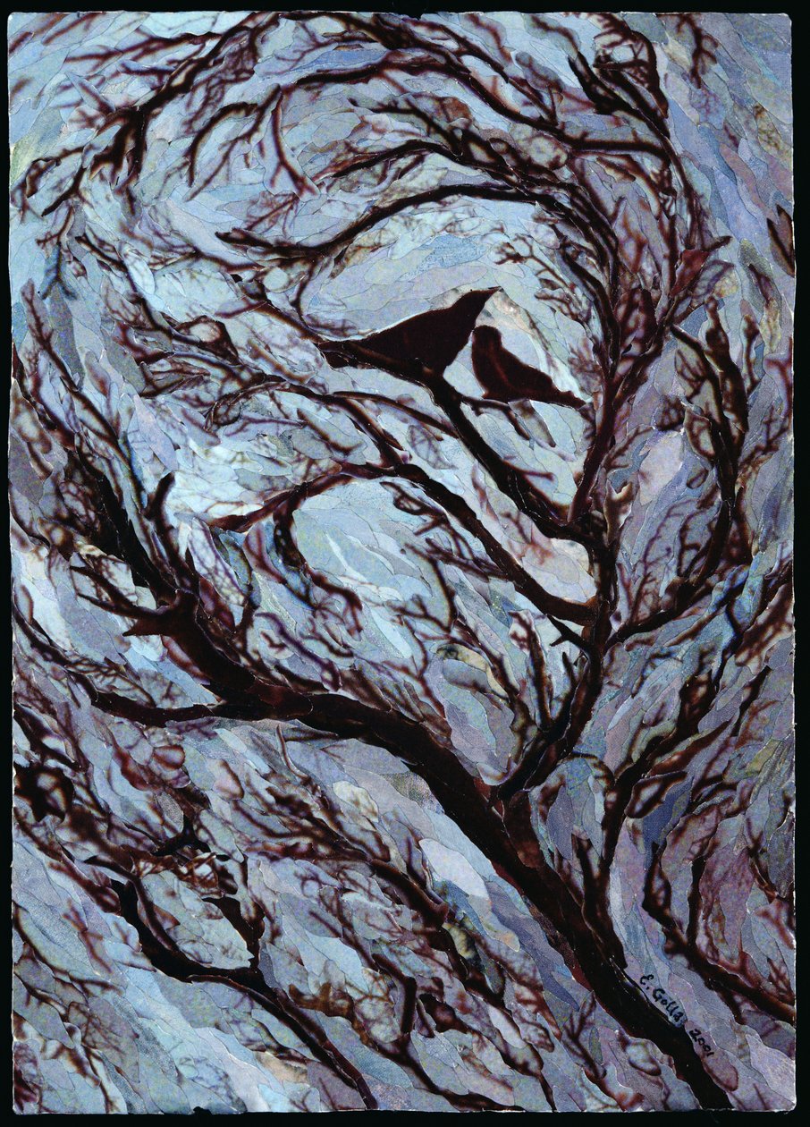Stormachtige dag, Greenwich Park, 2001 door Ellen Golla