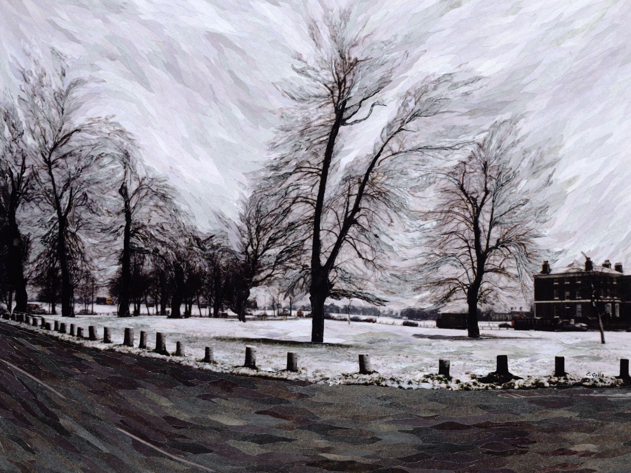 Westgrove, Kijkend naar Blackheath, 1999 door Ellen Golla