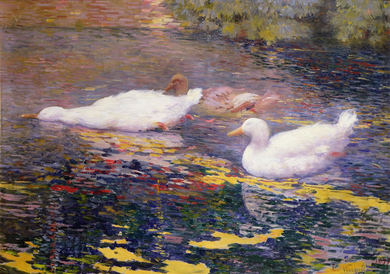 Eenden op een rivier door Elysee Visconti