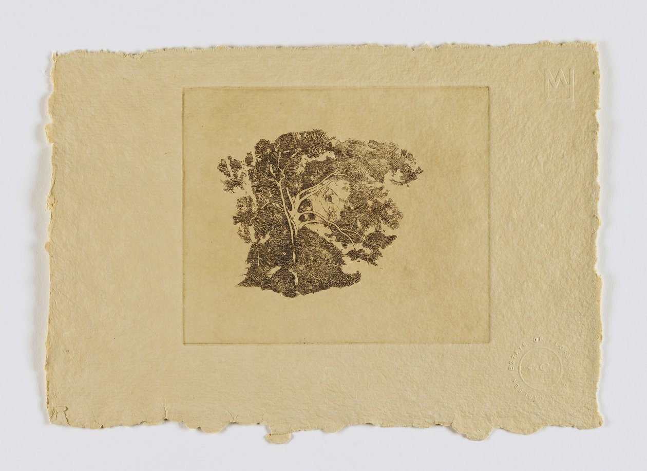 Bomenstudie (fm. portefeuille) door Emil Carlsen