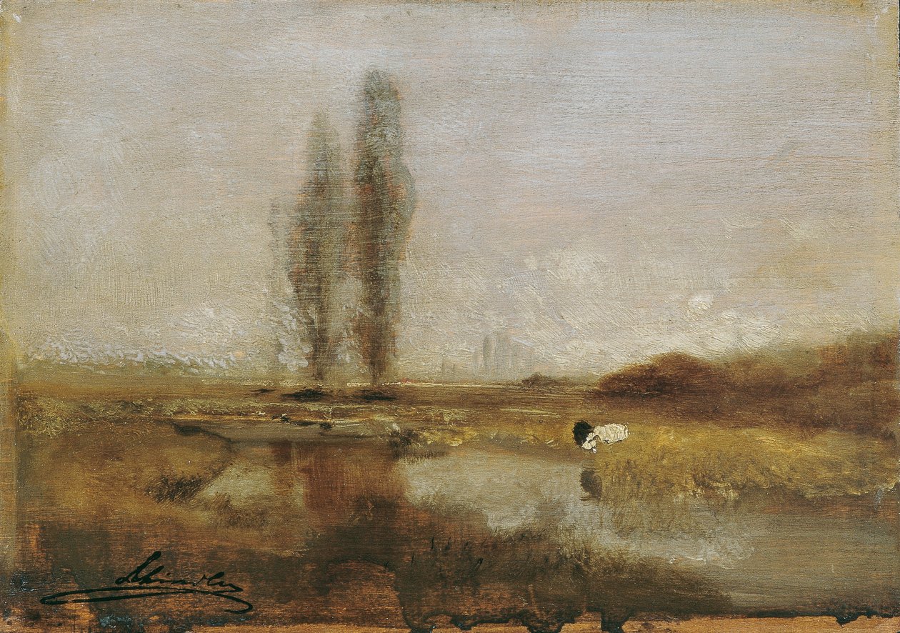 Moeraslandschap bij Lundenburg door Emil Jakob Schindler