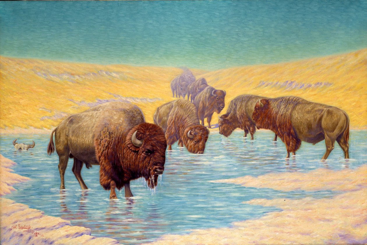 Buffalo Scène door Emil W. Lenders