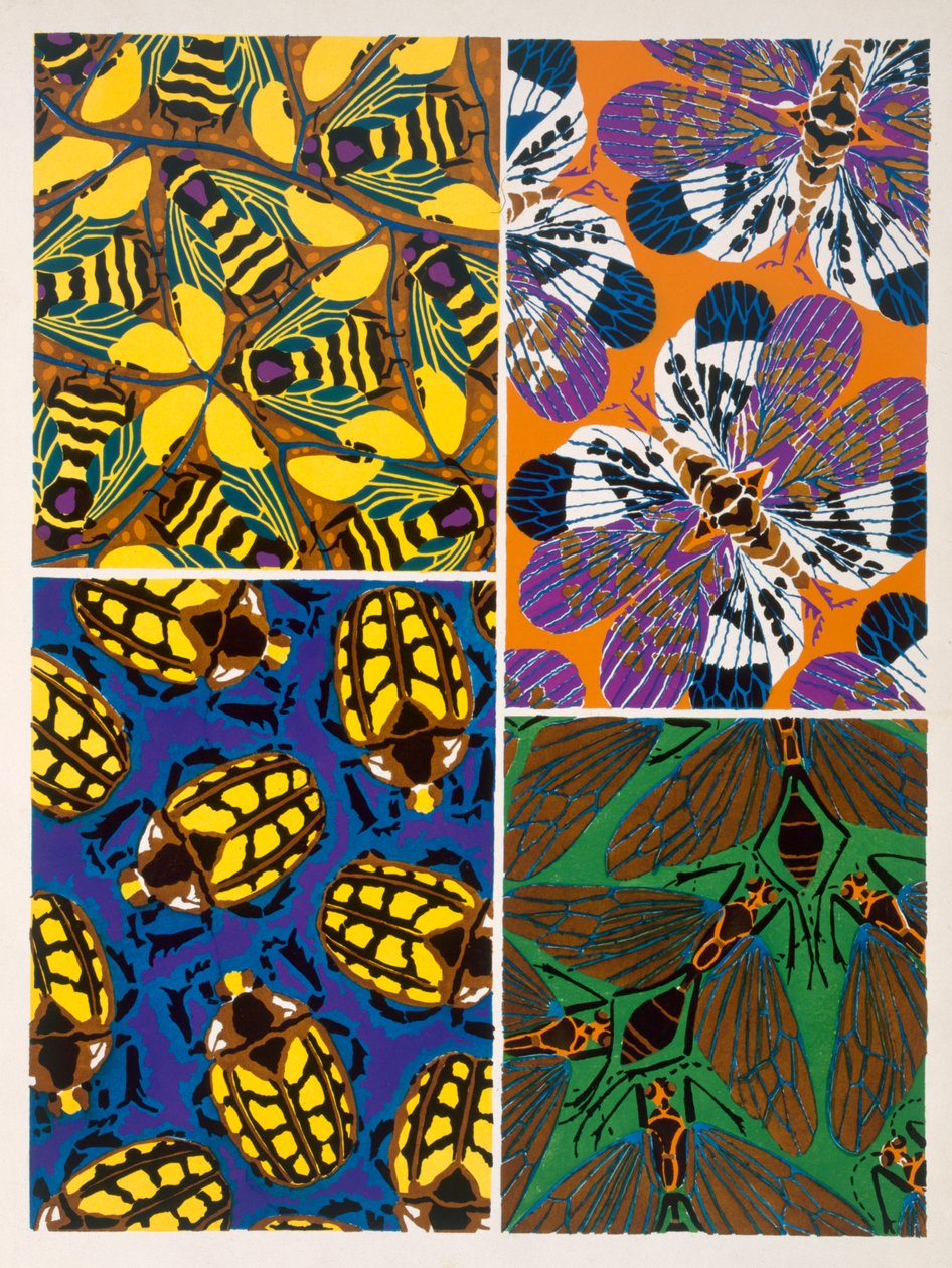 Ontwerp met insectenmotief door Émile Allain Séguy