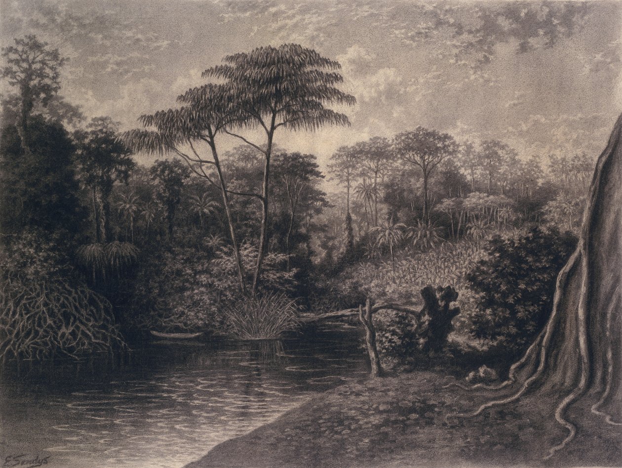 Uitzicht op de Kameroen Rivier, Ambes Baai, Afrika, 1877 door Emma Sandys