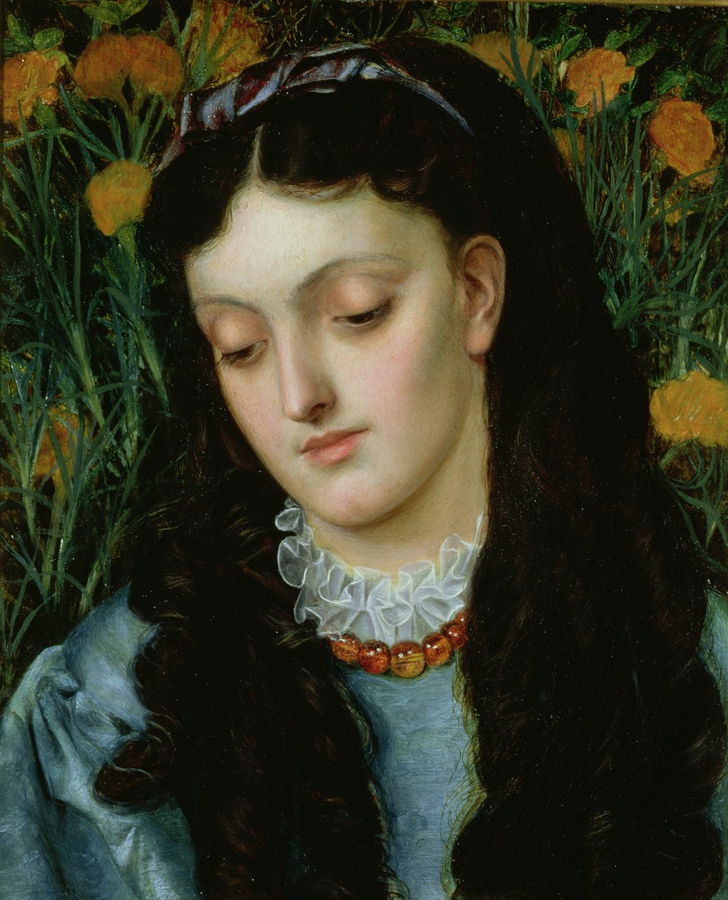 De mooie muurbloem door Emma Sandys