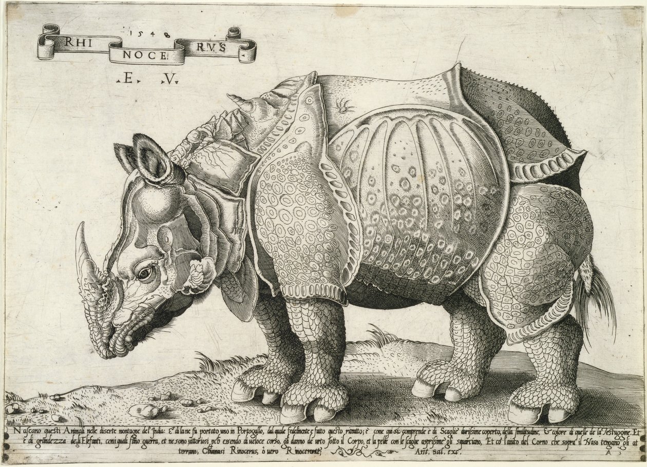 Neushoorn, 1548 door Enea Vico