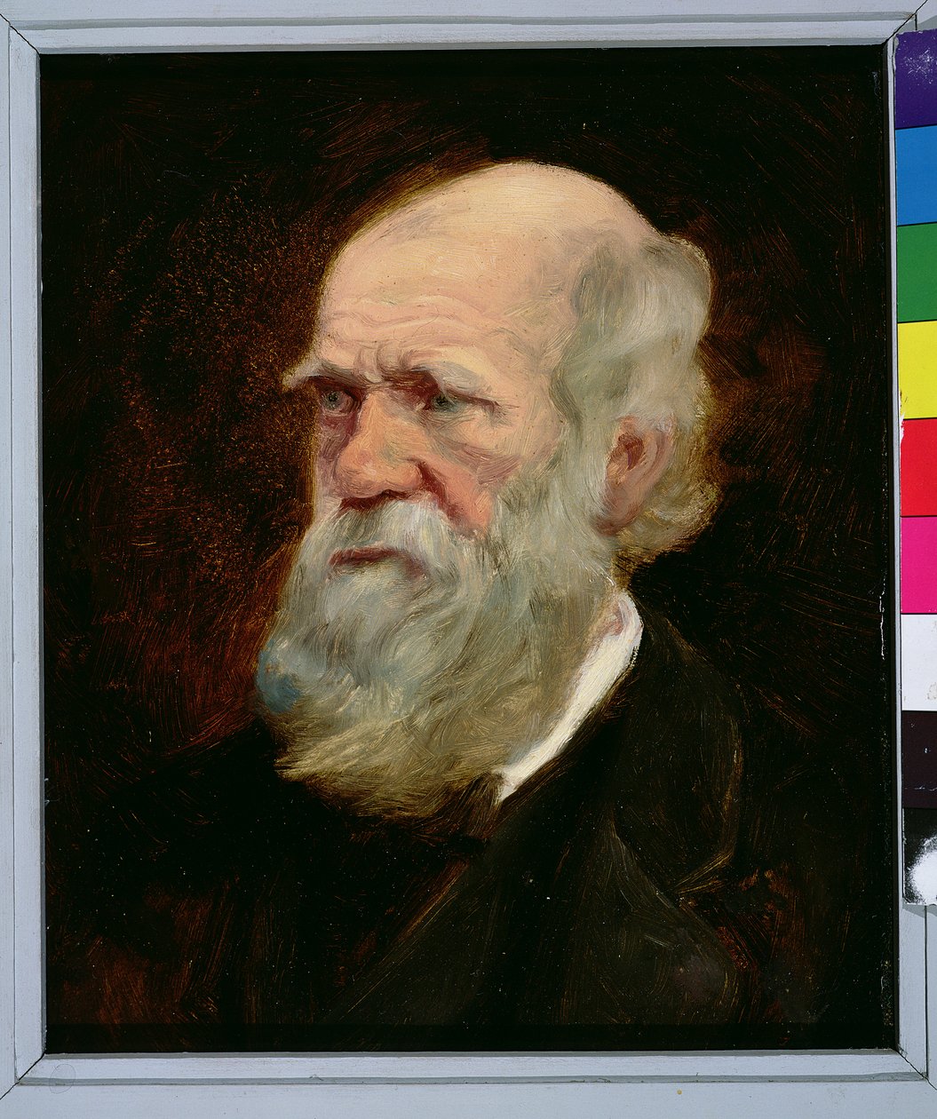Portret van Charles Robert Darwin (1809-82) Engelse natuuronderzoeker door English School