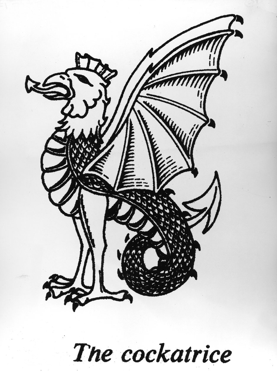 De Basilisk door English School