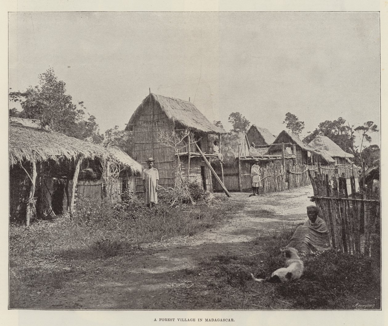 Een bosdorp in Madagaskar door English Photographer