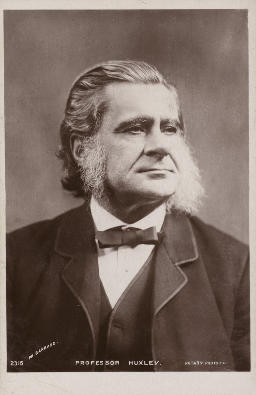 Thomas Henry Huxley (1825-1895), Engelse bioloog door English Photographer